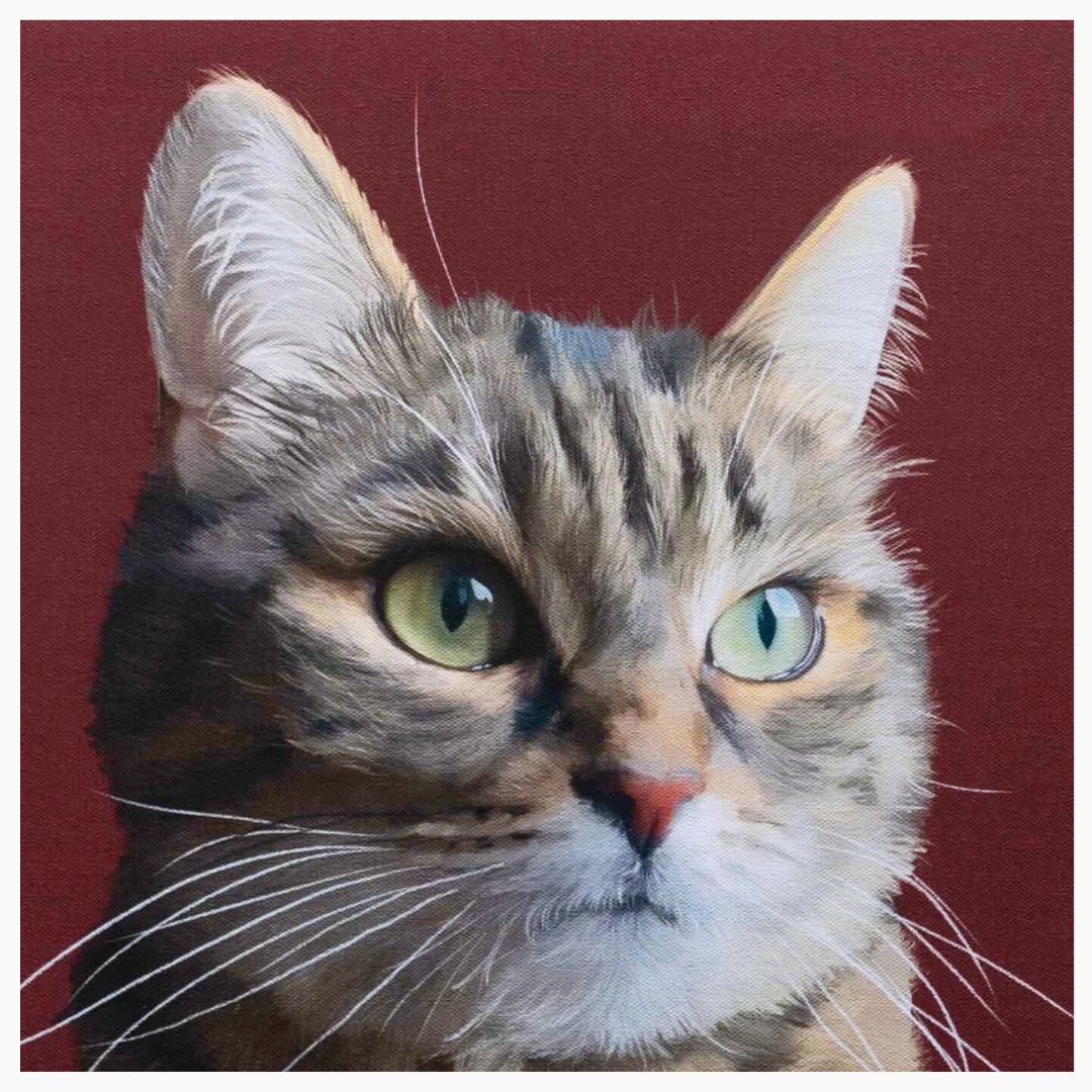 Porträt von Katze auf Leinwand im Detail