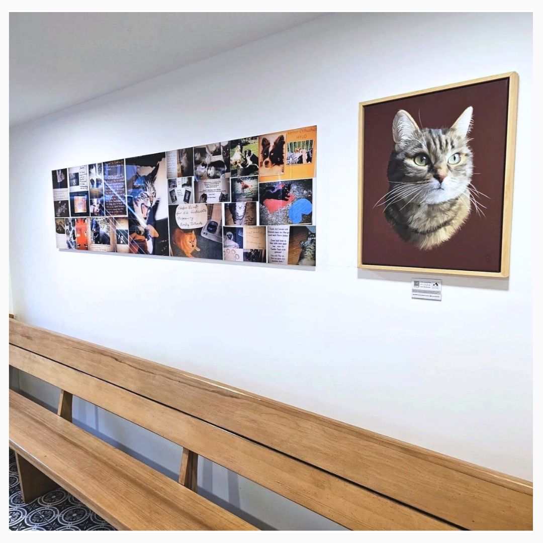 fur immer Tierporträts. Katzenporträt im Wartezimmer von Tierarzt Marcus Pabst, Bremen
